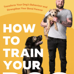 How To Train Your Dog - Signed