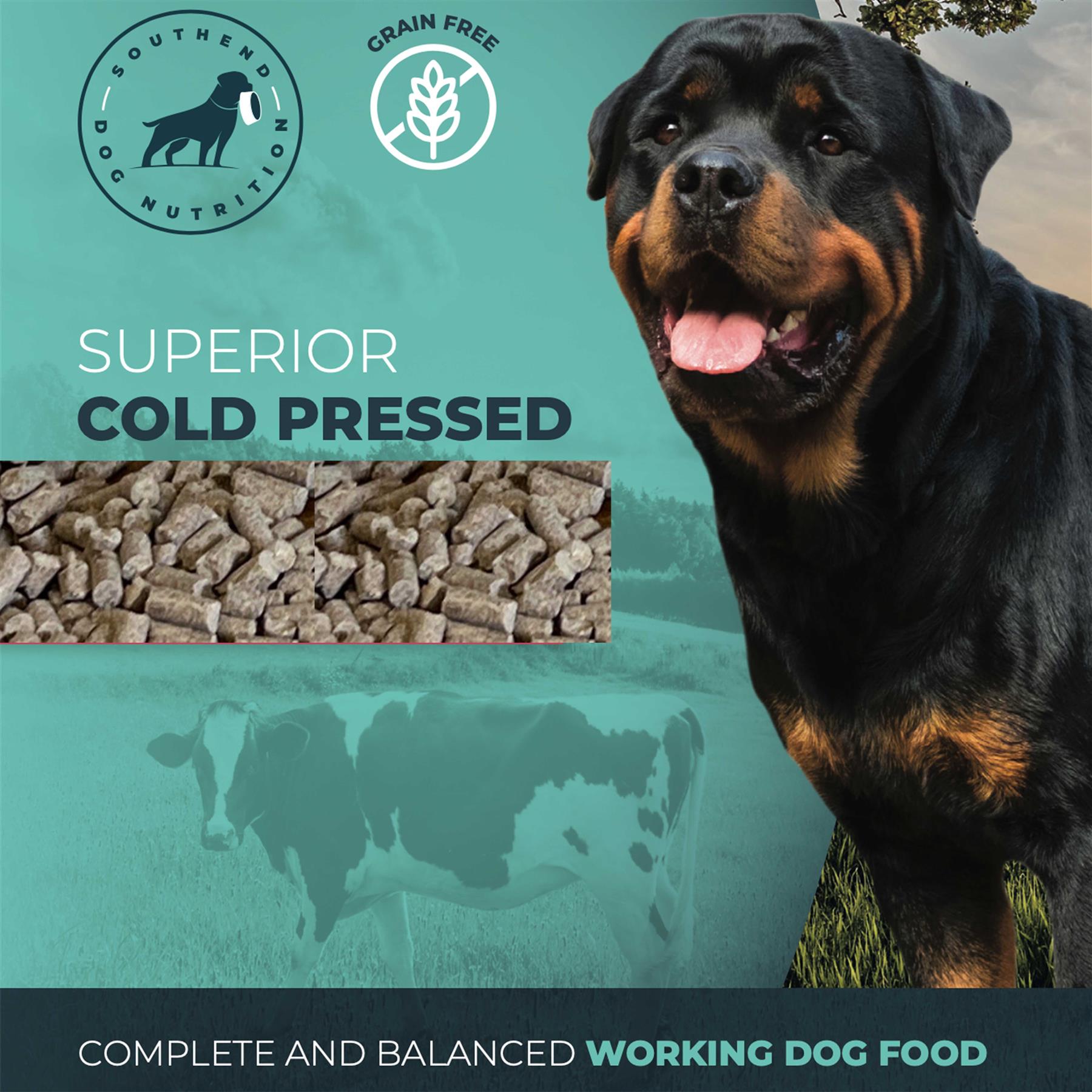 Southend Dog Nutrition Cold Pressed Beef 3kg Southend Dog Training